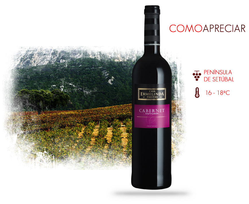 cabernet-sauvignon cabernet-sauvignon