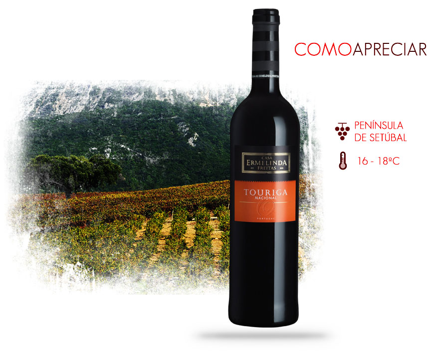 touriga-nacional touriga-nacional